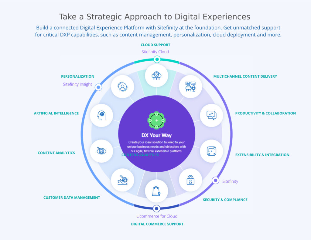 Digital Experience - RoundRobin Tech Services